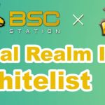 Real Realm IDO Whitelist on BSCStation