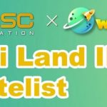 WidiLand IDO Whitelist ON BSCStation